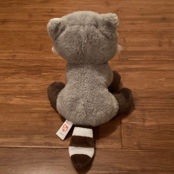 Bandit the raccoon - Picture 3 of 3